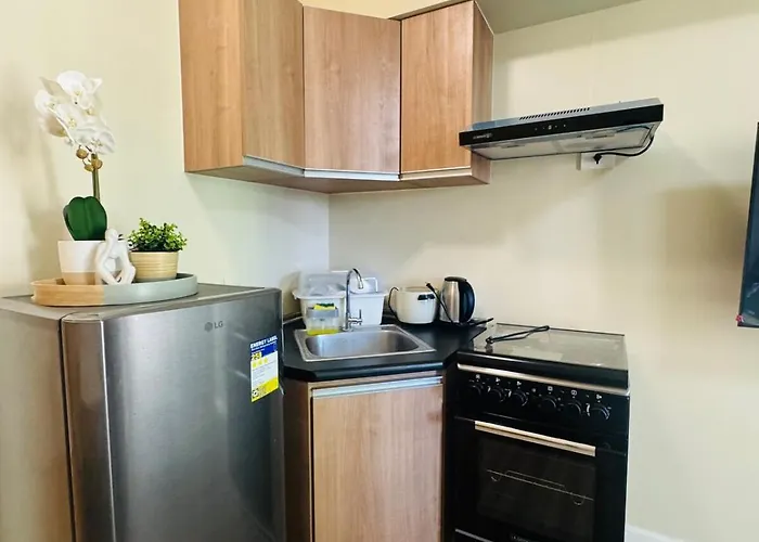 Apartment Brand New Unit In It Park Cebu
